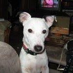 Ruth Goglia Photo 6