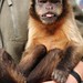 Ricky Bunch Photo 15