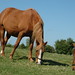 Bessie Conway Photo 4