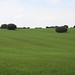La Fields Photo 18