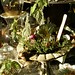 Terry Graber Photo 9