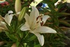 Kathy Parnell Photo 18