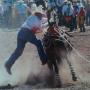 Todd Dennison Photo 20