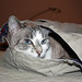 Jackie Short Photo 34