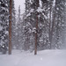 Jane Winters Photo 14