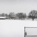 Clifton Nash Photo 12