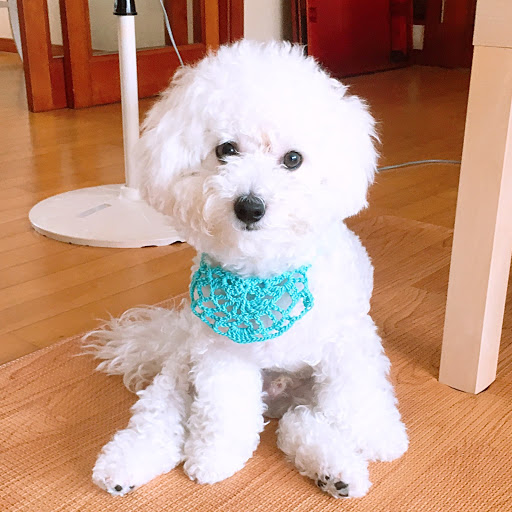 Eunhee Cho Photo 9