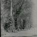 David Arter Photo 7