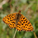 Debra Dias Photo 22