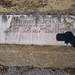 Beatrice Jenkins Photo 16