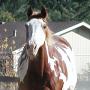 Linda Dougherty Photo 11