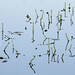 Laura Howes Photo 29