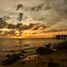Cecil Key Photo 5