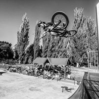 Steve Field Photo 42