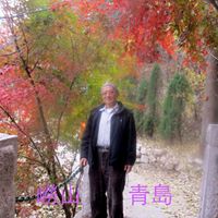Shih Ma Photo 11