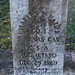 Charles Bauer Photo 46