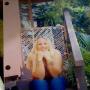 Sherry Langley Photo 21
