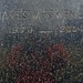 James Rowen Photo 15