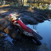 Lee Hardman Photo 22