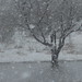 Cynthia Hutto Photo 16