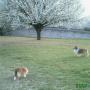 Trudie Roberts Photo 17