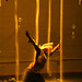 Jose Navarrete Photo 18
