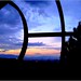 Dawn Shields Photo 11