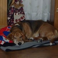 Linda Small Photo 28