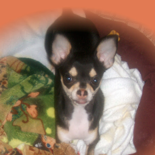 Bobbie Hayes Photo 33