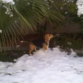 Linda Eddy Photo 4