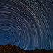 Gail Edwards Photo 29