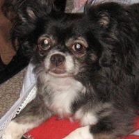 Rosemary Mcdaniel Photo 6