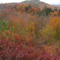 Sue Meeks Photo 31