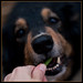 Savannah Bean Photo 7