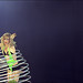 Angela Wieland Photo 15
