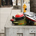 Adelaide Cook Photo 7