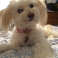 Mary Pendergrass Photo 35