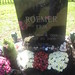 Erik Roemer Photo 5