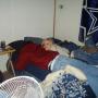 Shawn Duffy Photo 34