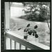 Edward Forst Photo 7