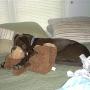 Kimberly Cortes Photo 22