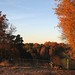 Autumn Davidson Photo 31