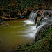 Nathan Rockwell Photo 24