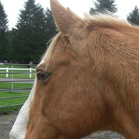 Candace Mayes Photo 4