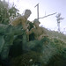 James Hensen Photo 7