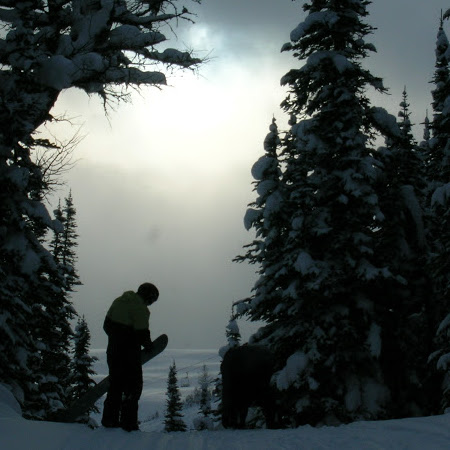 Craig Prince Photo 34