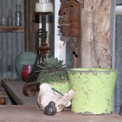 Trudi Robinson Photo 5
