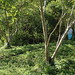 Shirley Marks Photo 19