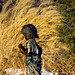 Joseph Arellano Photo 14