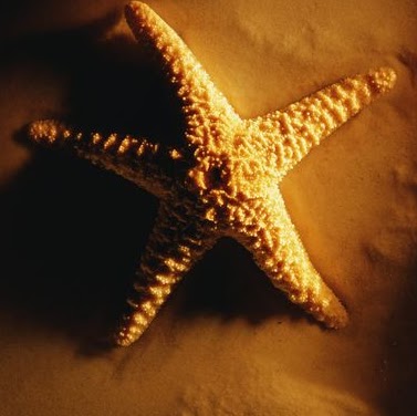 Phil Adams Photo 22